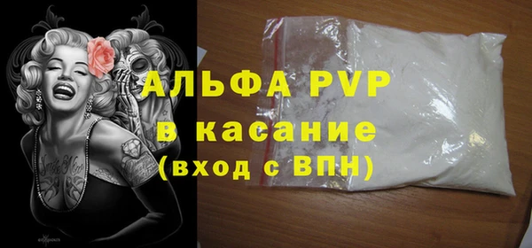 твердый Арсеньев