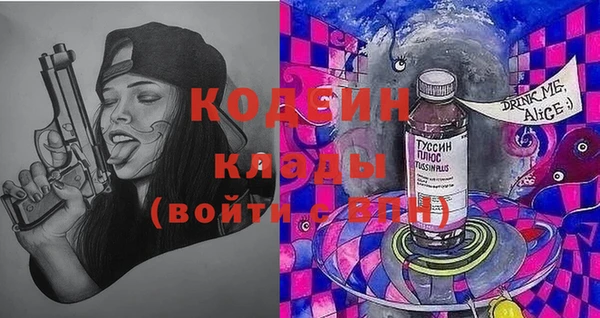 спайс Няндома