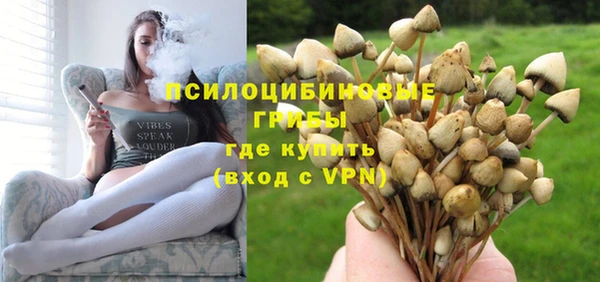 мет Армянск