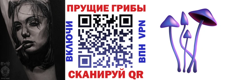 Псилоцибиновые грибы мицелий  сайты даркнета телеграм  Багратионовск  как найти наркотики  kraken онион 